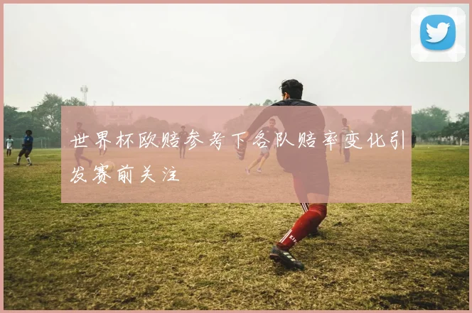 世界杯欧赔参考下各队赔率变化引发赛前关注