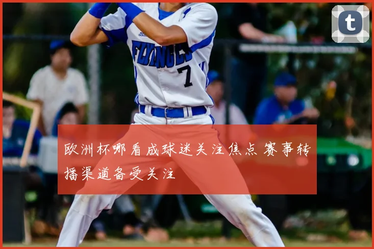 欧洲杯哪看成球迷关注焦点 赛事转播渠道备受关注